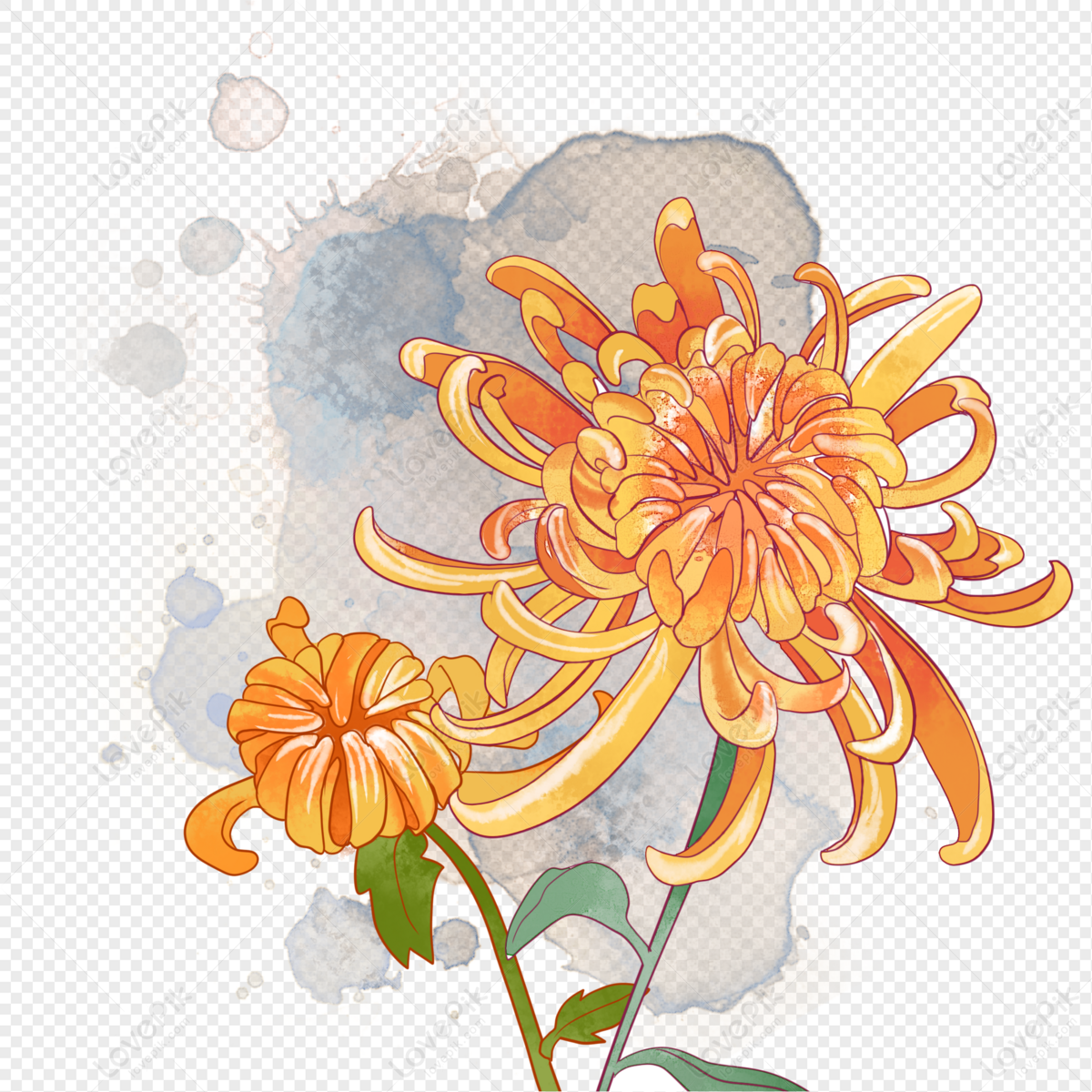 orange chrysanthemum clip art