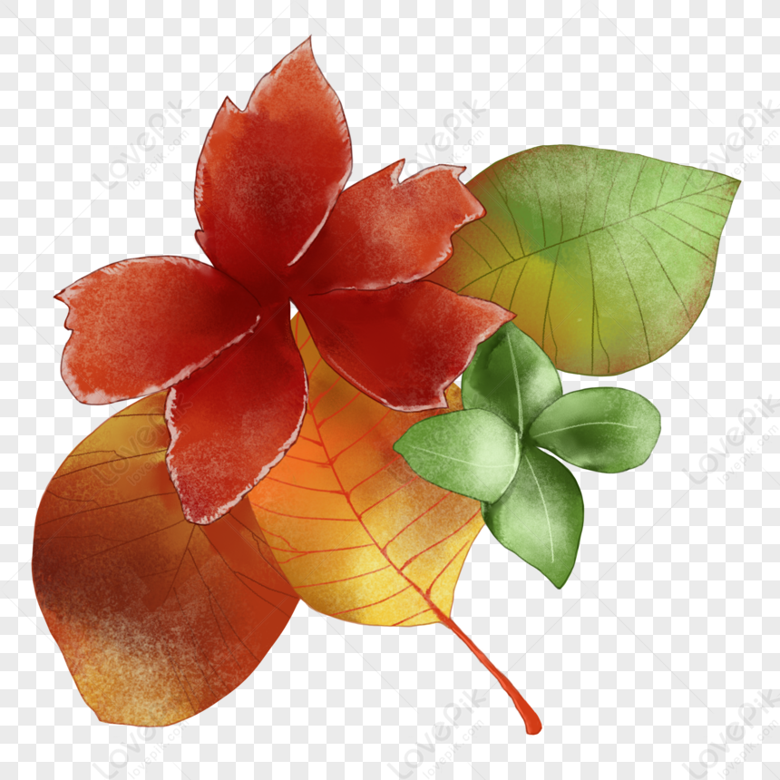 Fallen Leaves, Fallen Leaves, Twenty Four Solar Terms, Leaves PNG ...