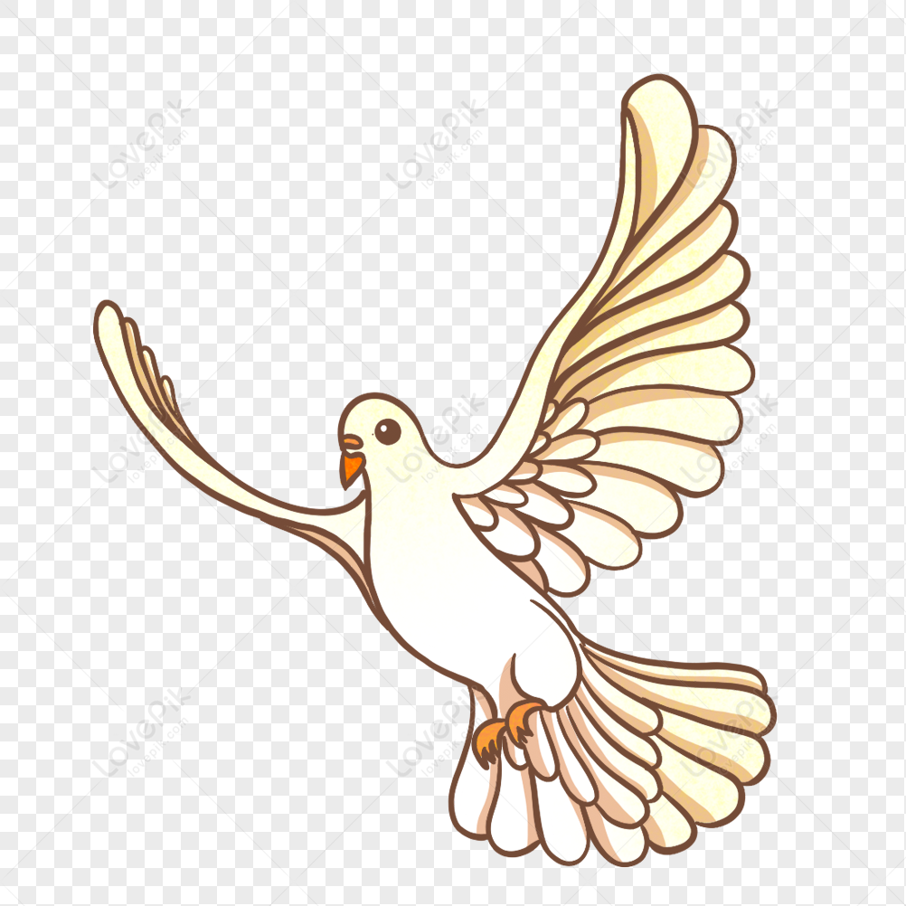 Flying Dove PNG Transparent Image And Clipart Image For Free Download -  Lovepik | 401762657