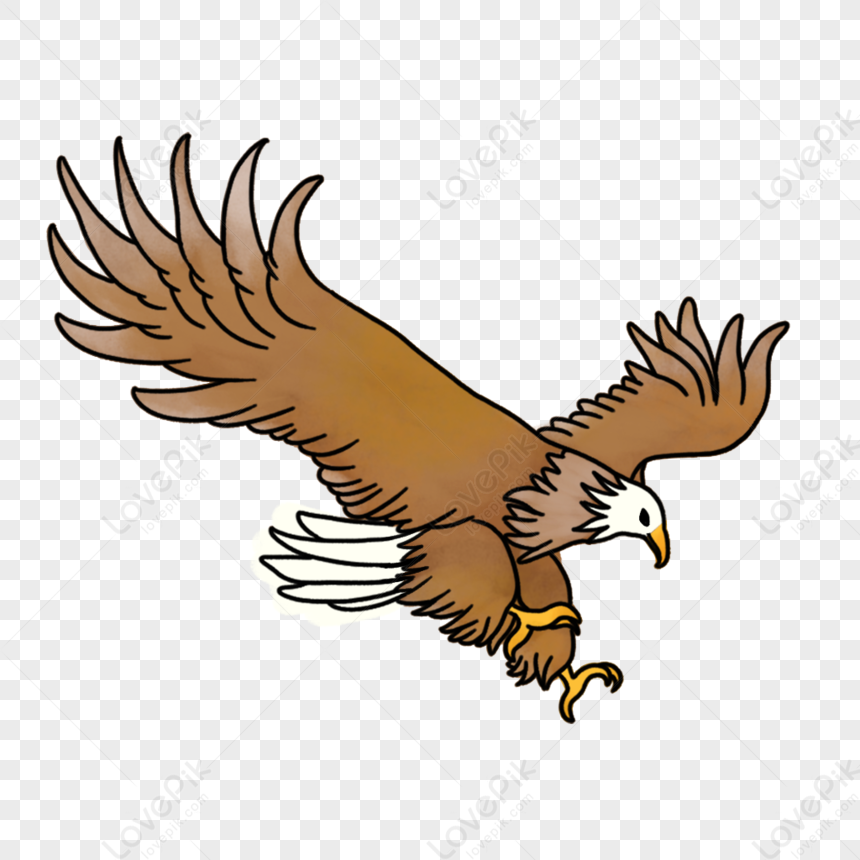 How To Draw A Flying Eagle – A Step by Step Guide