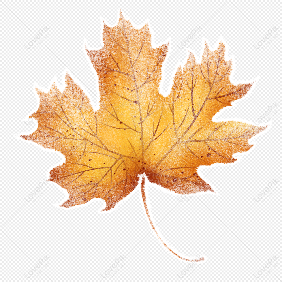 maple leaf transparent background