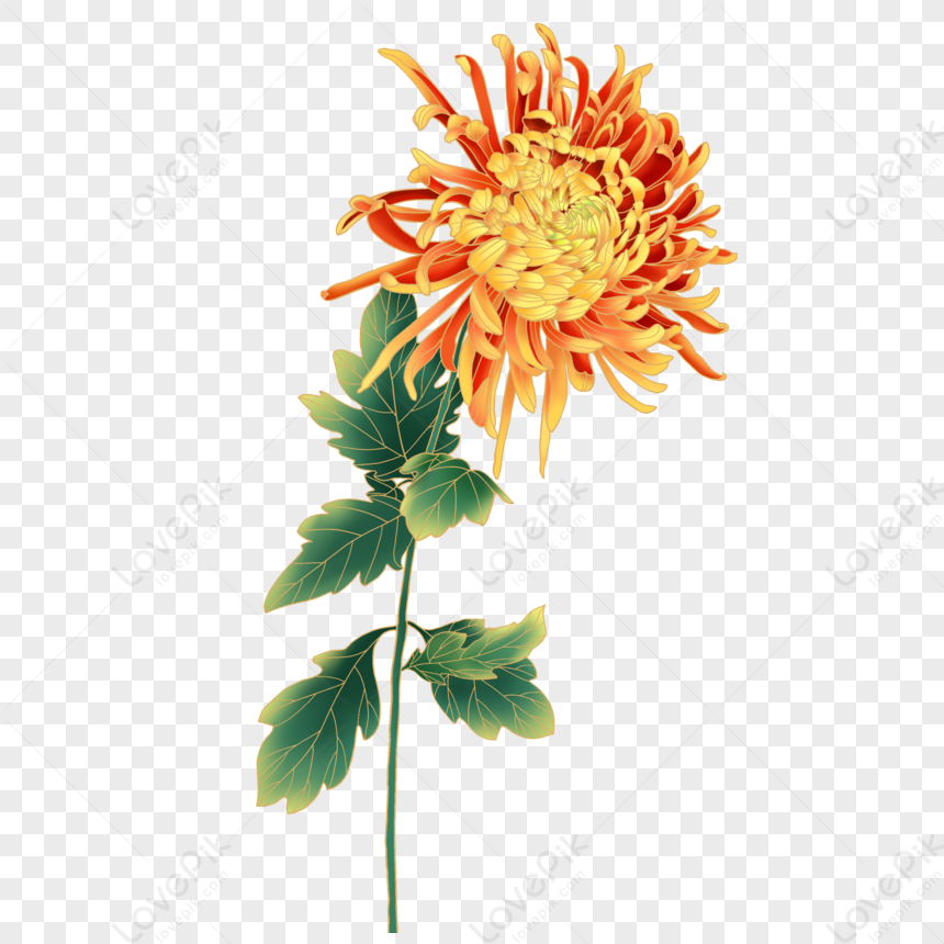 Golden Thread Country Tide Style Chrysanthemum PNG Hd Transparent Image ...