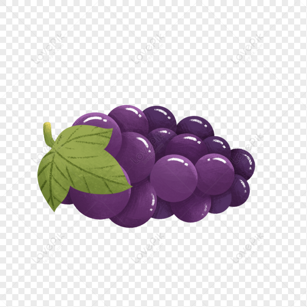 Grape Logo - stock vector 1768491 | Crushpixel