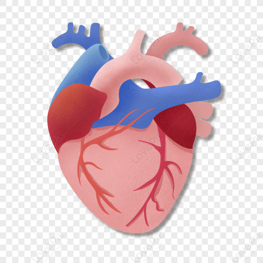 Heart PNG Transparent Image And Clipart Image For Free Download - Lovepik |  401795997