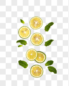 Lemon Slice Drawing PNG Images With Transparent Background | Free ...