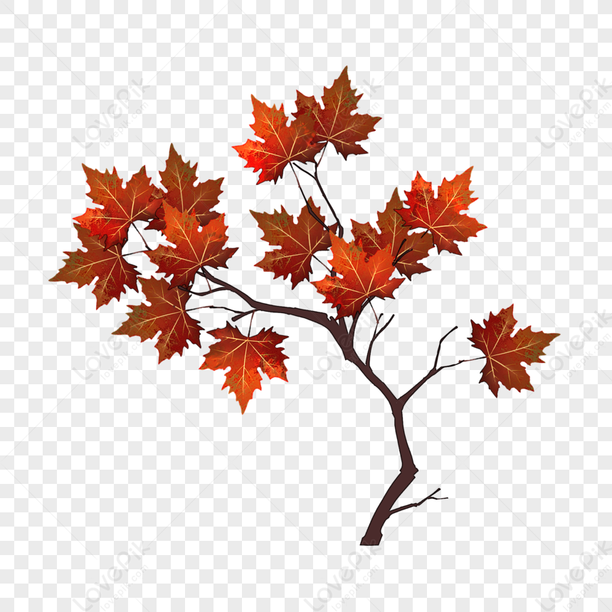 red leaf clip art