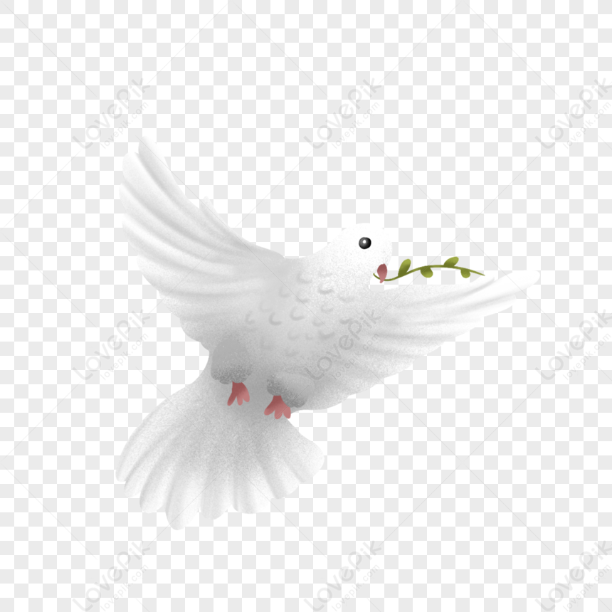Peace Dove PNG Transparent And Clipart Image For Free Download - Lovepik |  401749326