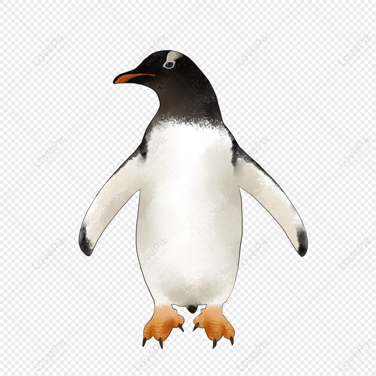 Pinguin Streckt Seine Flügel Aus PNG-Bilder & Vektoren und PSD Datei zum kostenlosen  Download - Lovepik 401870741