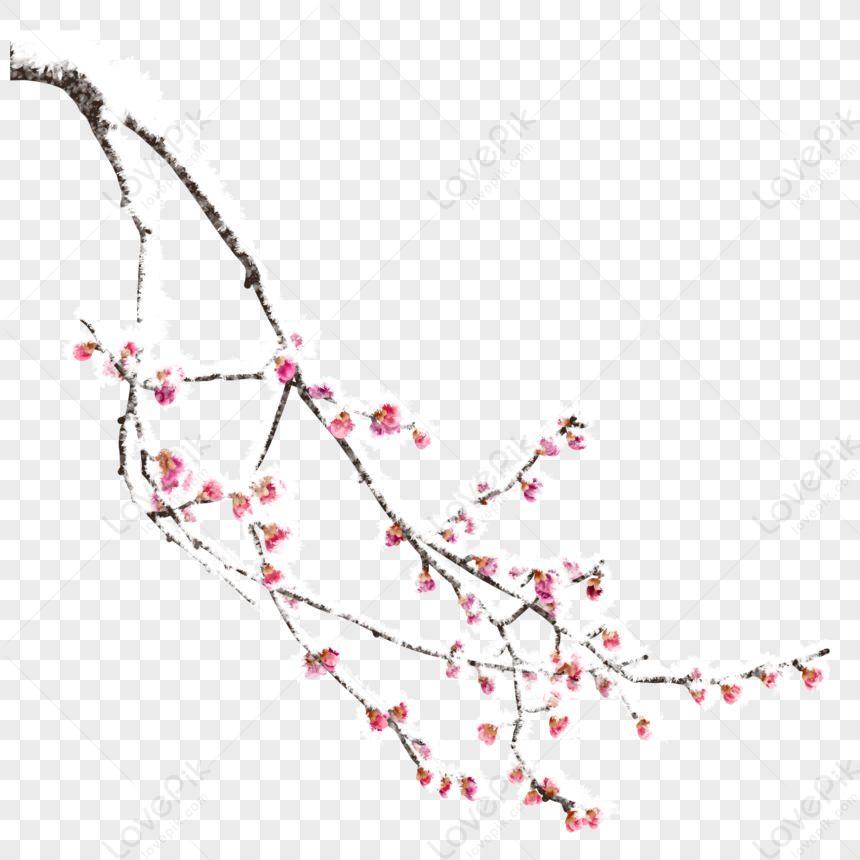 Plum Blossom Branch PNG Image Free Download And Clipart Image For Free ...