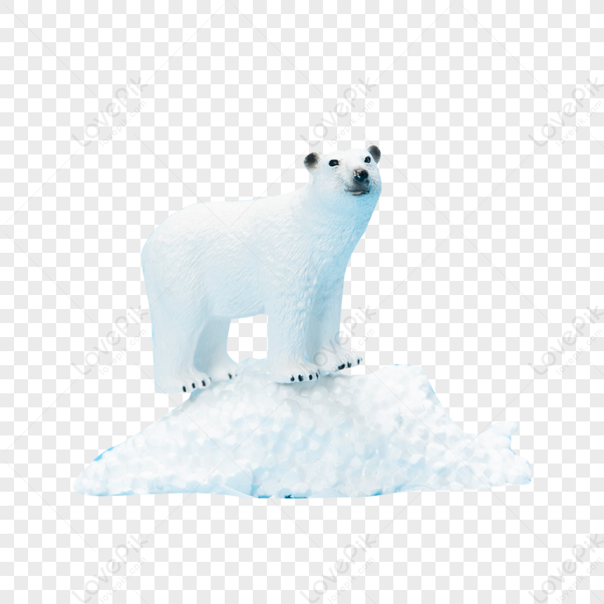 Polar Bear PNG Image And Clipart Image For Free Download - Lovepik ...