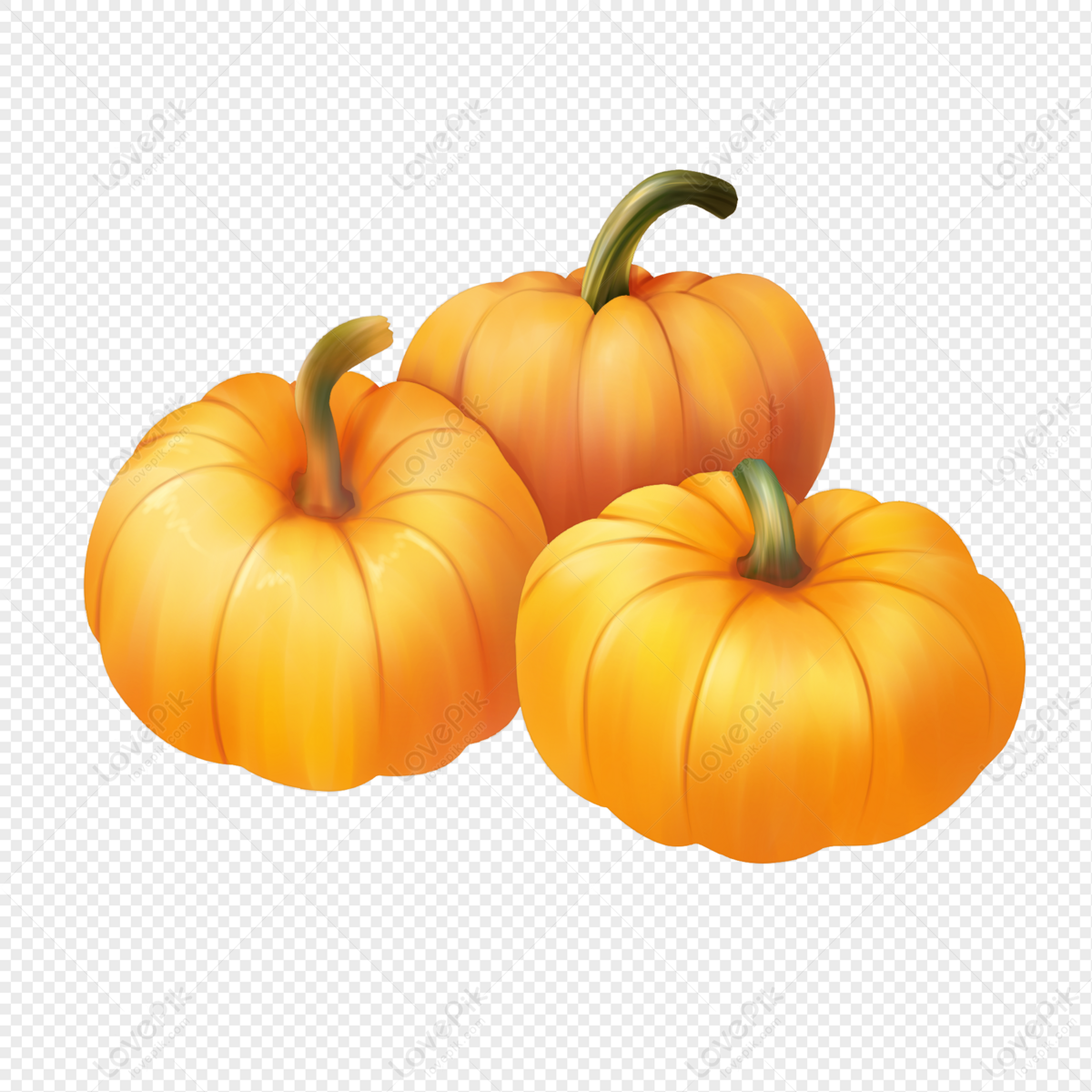 Pumpkin PNG Transparent Images Free Download - Pngfre