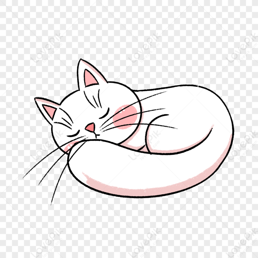 Hình ảnh Mèo Ngủ PNG Miễn Phí Tải Về - Lovepik