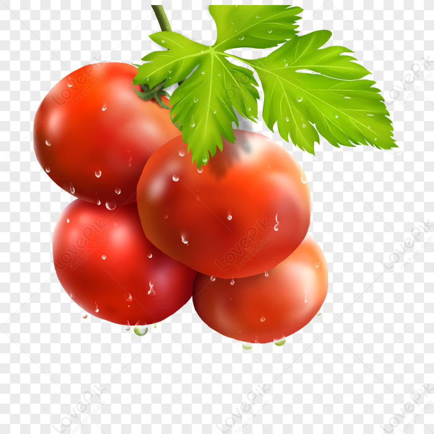 Томат дождь. Томат Послеобеденный восторг. Tomato Branch.