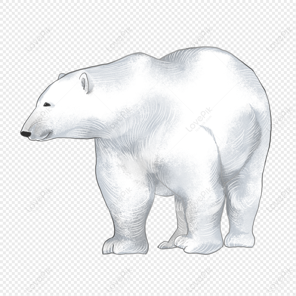 Nếu bạn muốn thưởng thức vẻ đáng yêu của một chú gấu Bắc Cực, hãy xem hình ảnh này! Nhìn vào mặt của nó, bạn sẽ không thể nhịn được cười với tình cảm mà nó mang lại.