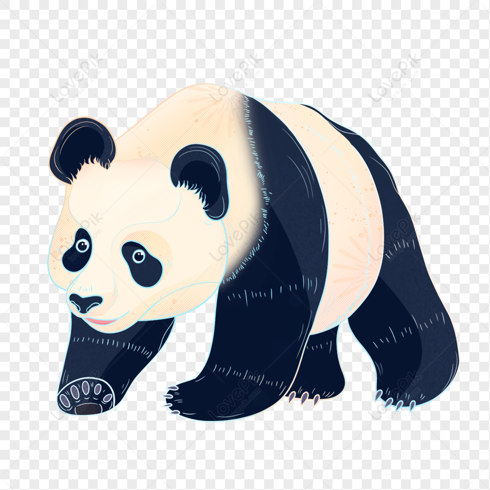 Hình ảnh Panda động Vật Hoạt Hình PNG Miễn Phí Tải Về - Lovepik