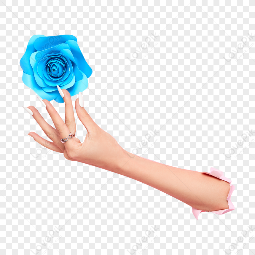 manicures clipart flowers