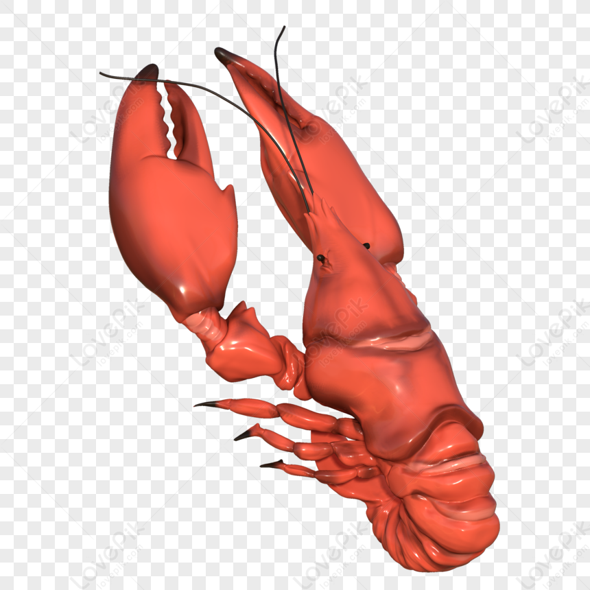 Crawfish 3d Model, 3d Model, Crawfish, 3d PNG Free Download And Clipart ...