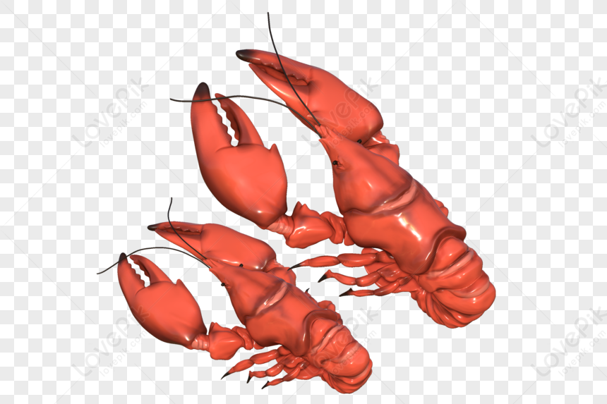 Crawfish 3d Model PNG Hd Transparent Image And Clipart Image For Free ...