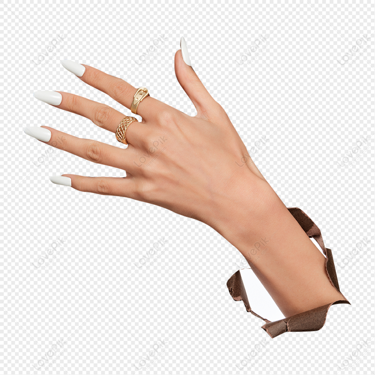 Модель женская рука, правая, 25 см
