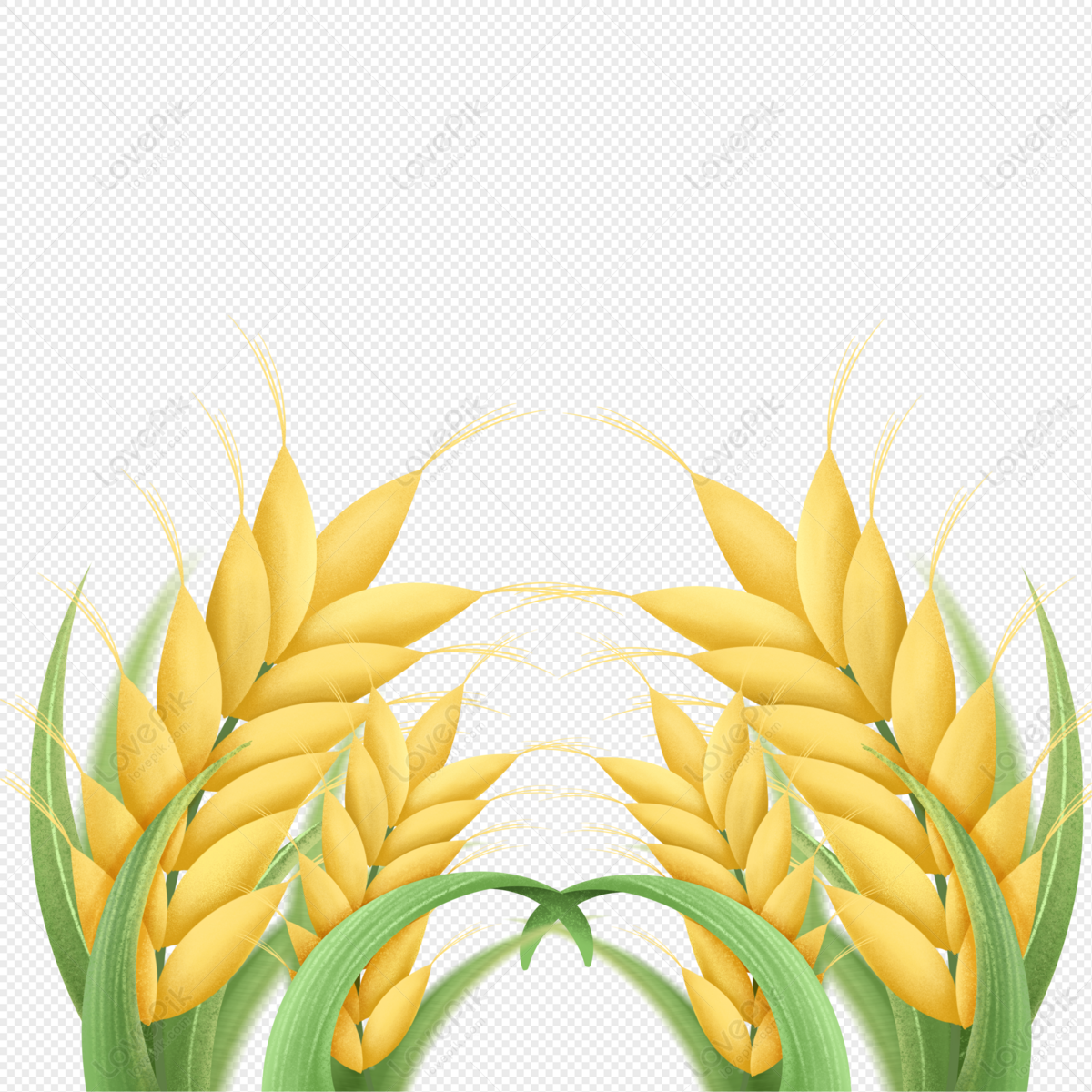 Grain Wheat PNG Transparent And Clipart Image For Free Download - Lovepik |  401931506