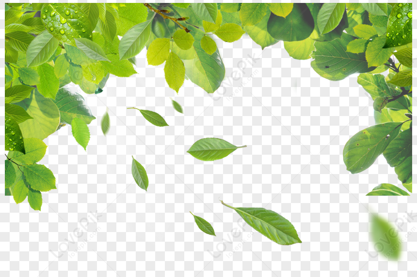 Green Leaves Dance, Leaves, Gushes, Floating Leaves PNG Transparent ...