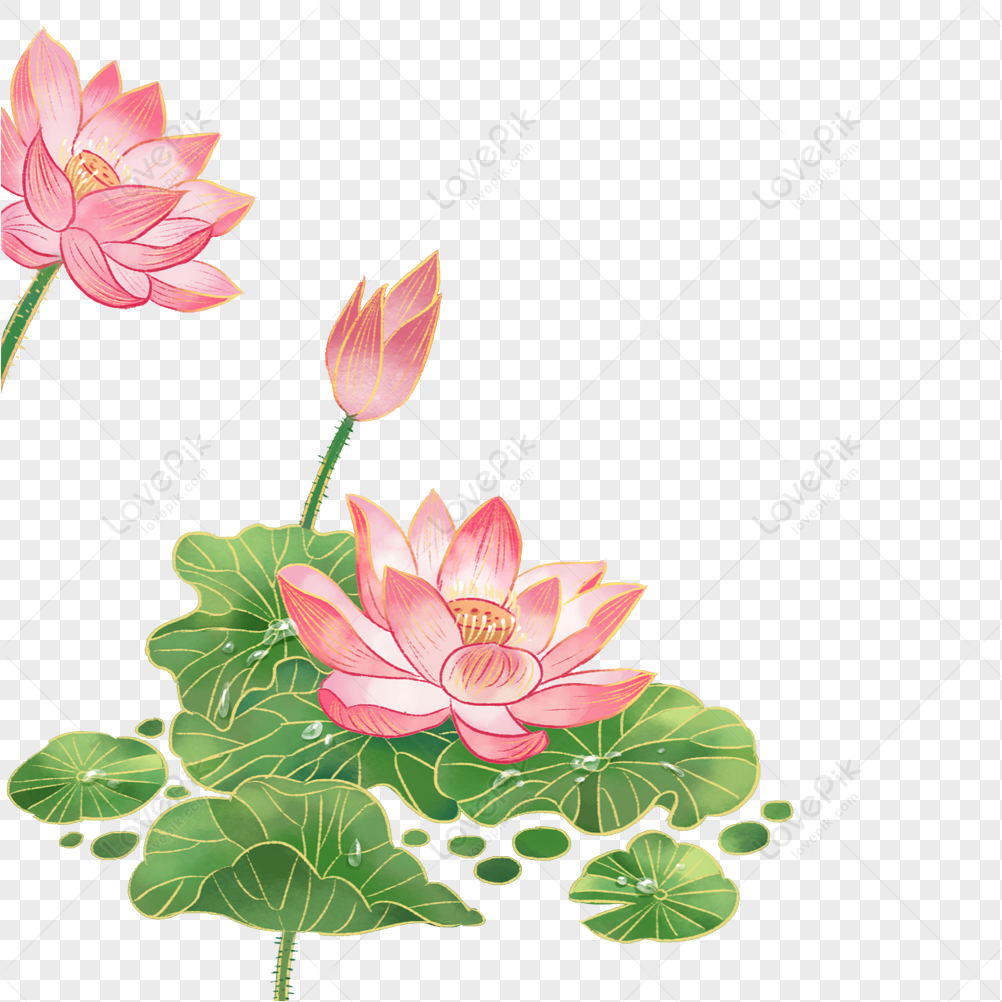 Lotus Flower PNG Free Download And Clipart Image For Free Download -  Lovepik | 401905573