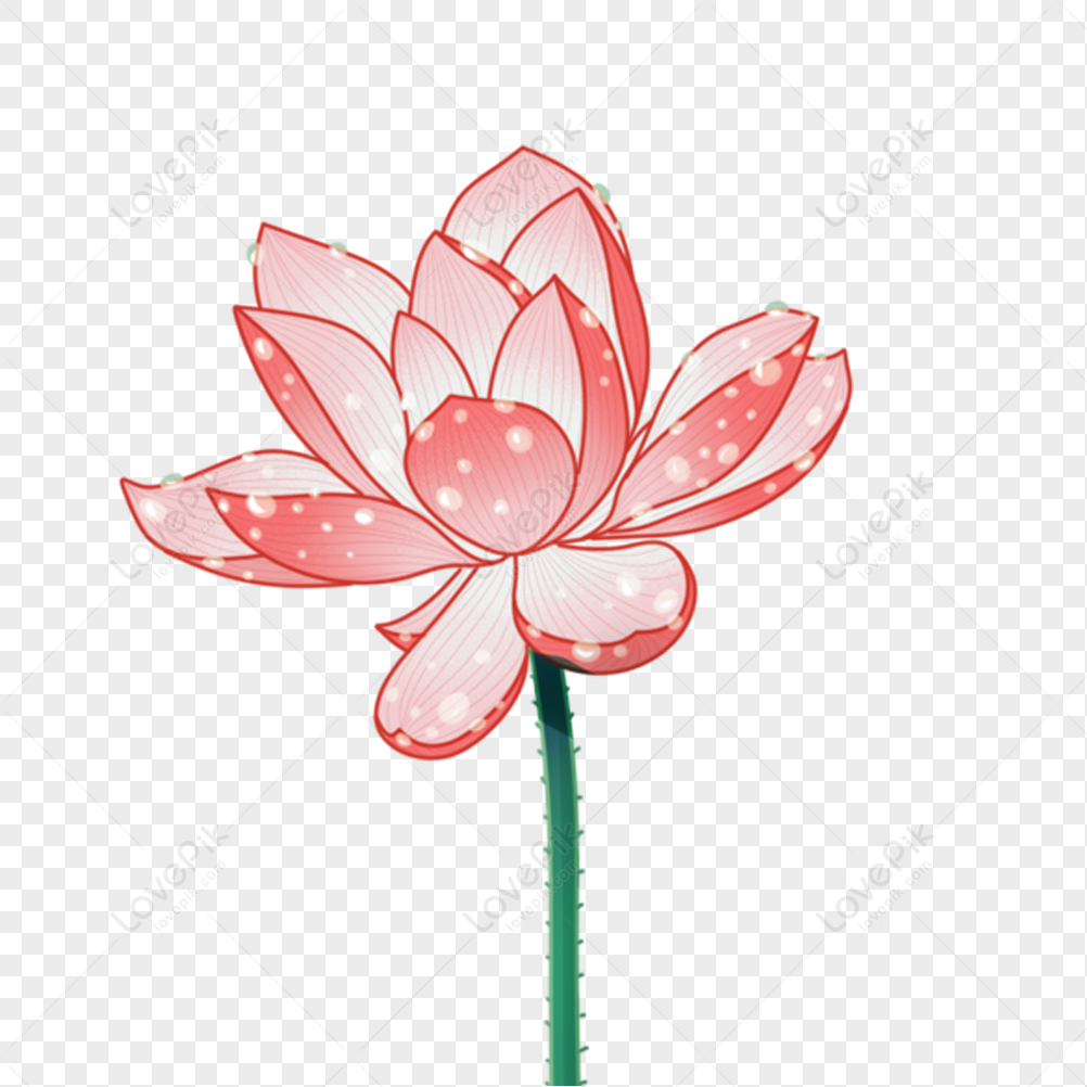 Simple and Easy Lotus Flower Drawing- Flower Drawing Tutorial - Free Jupiter
