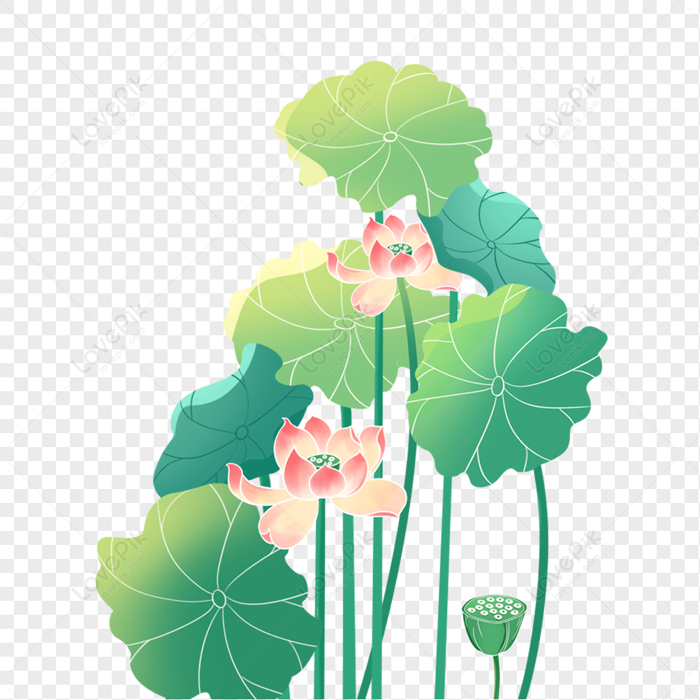 Lotus Flower, Lotus, Summer, Summer Free PNG And Clipart Image For Free ...