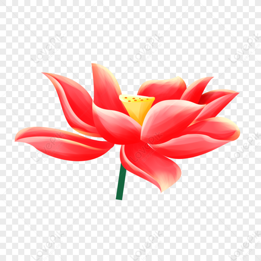 Bạn đang tìm kiếm hình ảnh hoa sen PNG miễn phí để sáng tạo và thiết kế? Đến đúng nơi rồi! Hãy xem hình ảnh liên quan để tải xuống những hình ảnh hoa sen phiên bản PNG hoàn toàn miễn phí và sáng tạo!