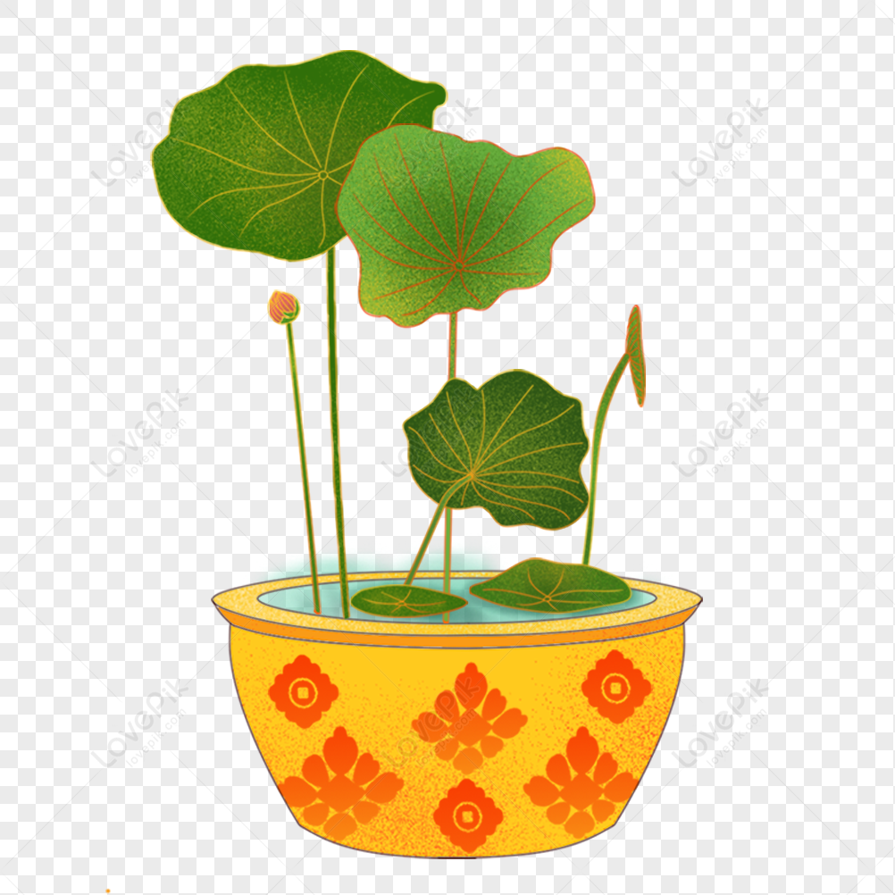 Lotus Flower, Big Summer, Plant Extract, Pennywort PNG Image Free ...