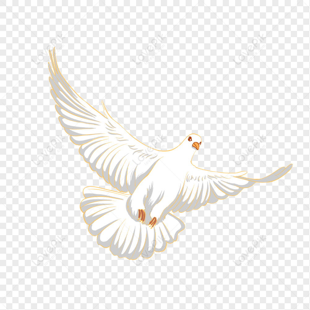 Hình ảnh Peace Pigeon PNG Miễn Phí Tải Về - Lovepik