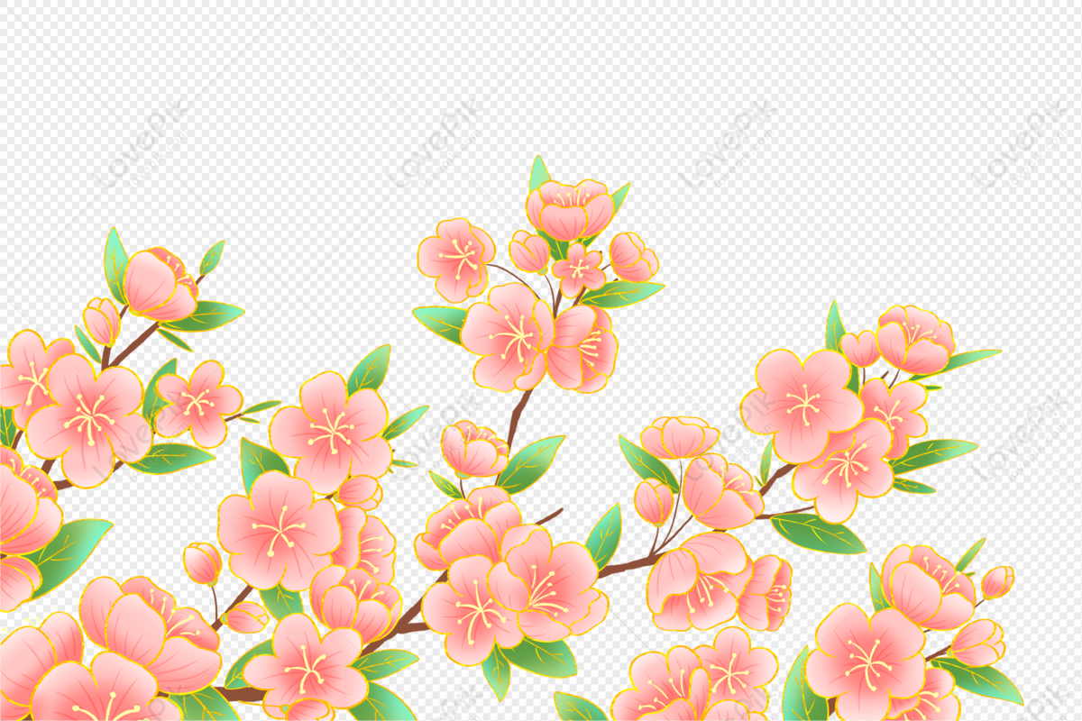 Peach Floral Pattern