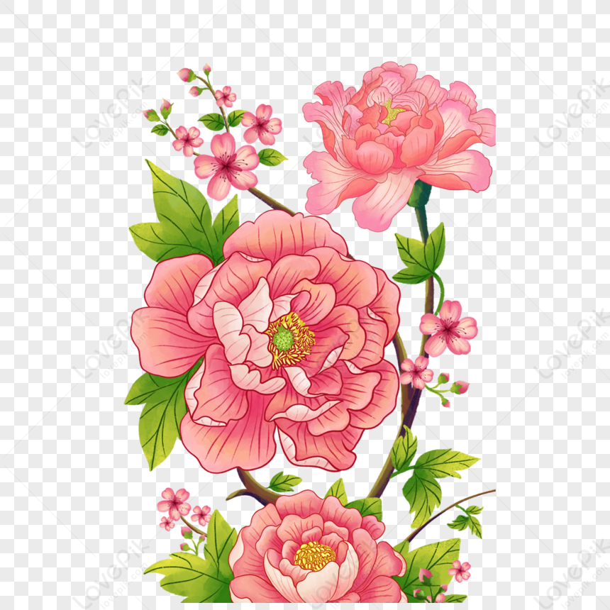 Loài hoa paeoni được biết đến với vẻ đẹp kiêu sa và hương thơm đặc biệt. Hãy xem qua hình ảnh của những bông hoa paeoni nở rộ để tận hưởng sự quý phái và sang trọng.