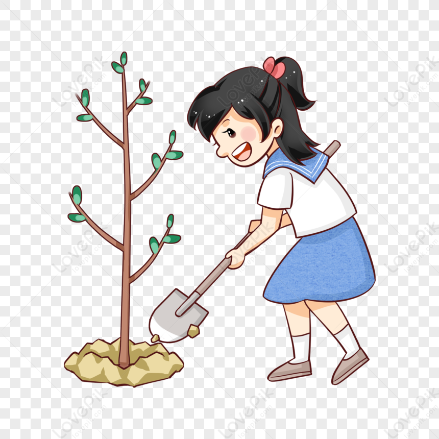 Planting Section Student Tree Png Transparent Background And Clipart 