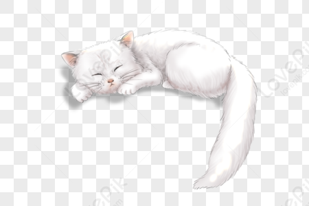 Спящий кот png