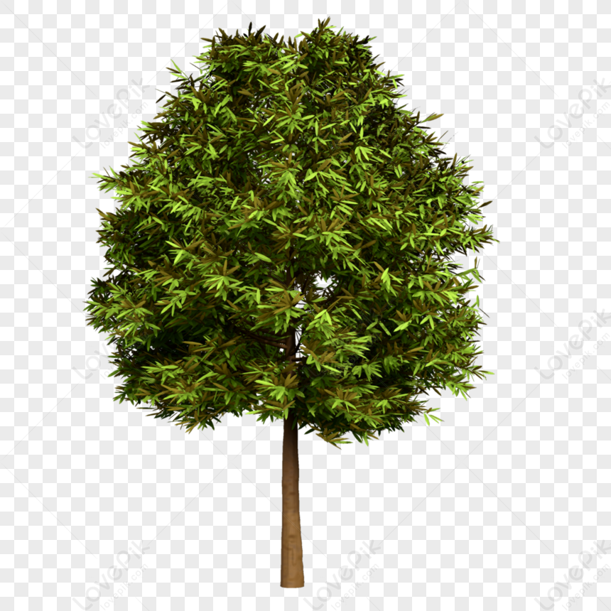 Modelo De árboles De Verano 3d PNG Imágenes Gratis - Lovepik