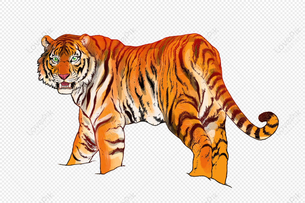 tiger.png