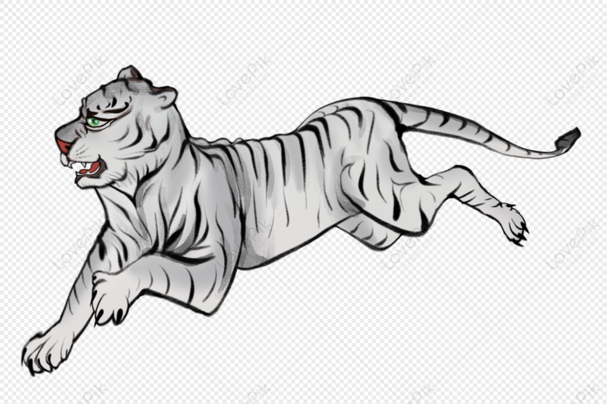 Hình ảnh con hổ PNG miễn phí sẽ giúp cho bạn thỏa sức sáng tạo và tạo ra những tác phẩm nghệ thuật độc đáo. Hãy khám phá những hình ảnh con hổ miễn phí tuyệt vời này để thỏa sức sáng tạo nhé!