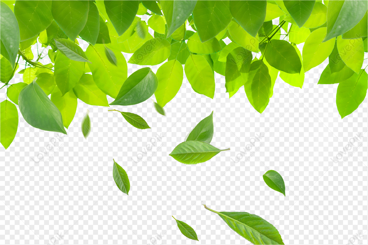 wind blowing trees clipart