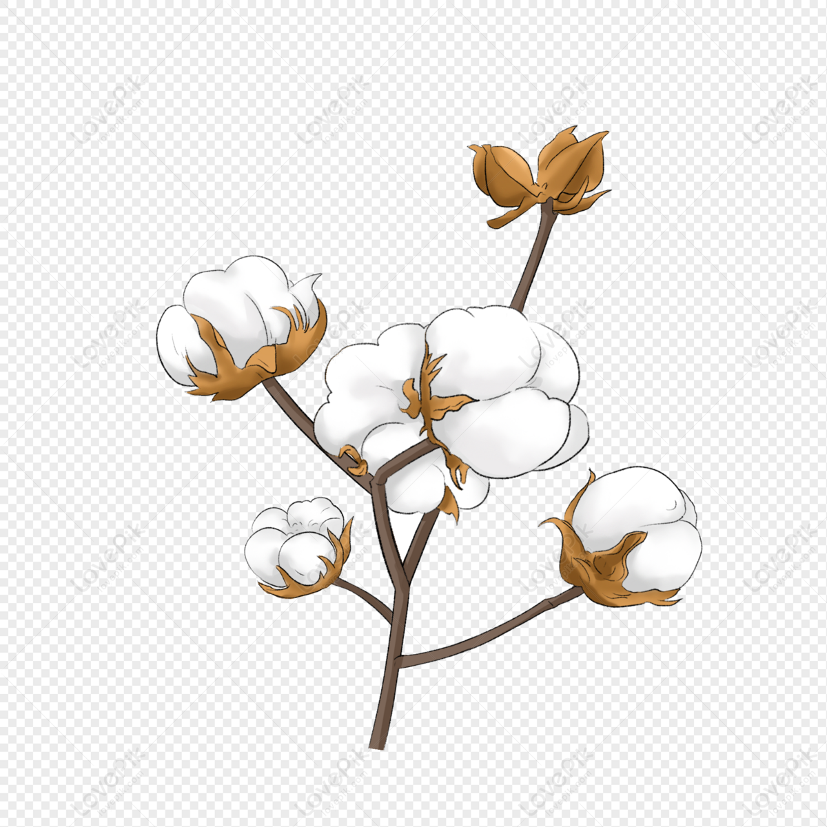 Cotton Picking PNG, Vector, PSD, and Clipart With Transparent