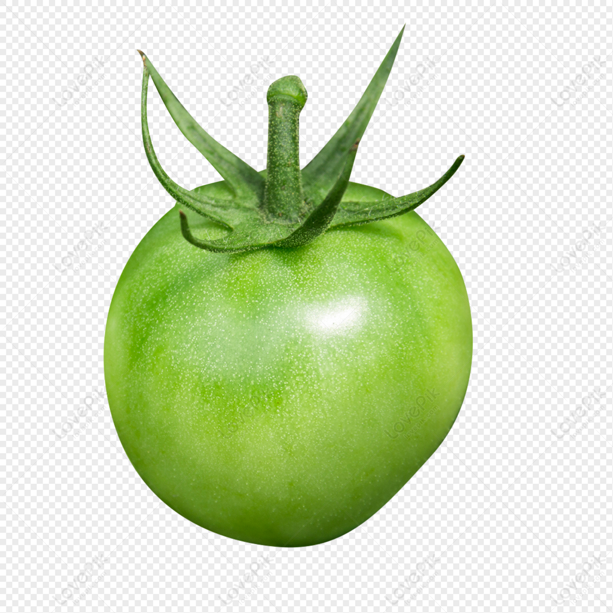 Cherry Tomatoes Green Fruits And Vegetables PNG Transparent And Clipart  Image For Free Download - Lovepik | 402005756