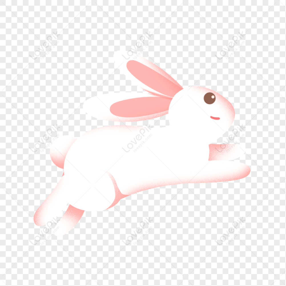 Jumping Rabbit PNG Images With Transparent Background | Free ...