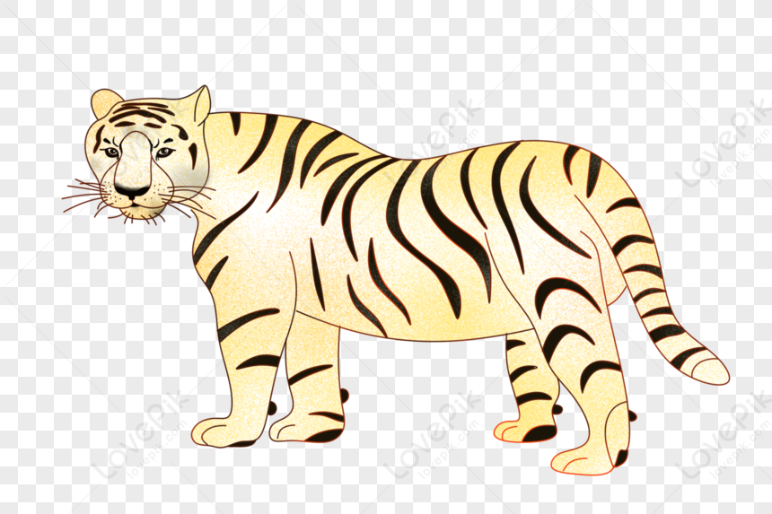 White Tiger PNG Transparent Background And Clipart Image For Free Download  - Lovepik | 402004350