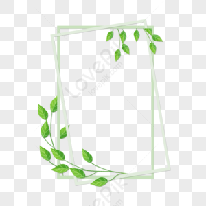 Delicate Plant Border PNG Images With Transparent Background | Free ...