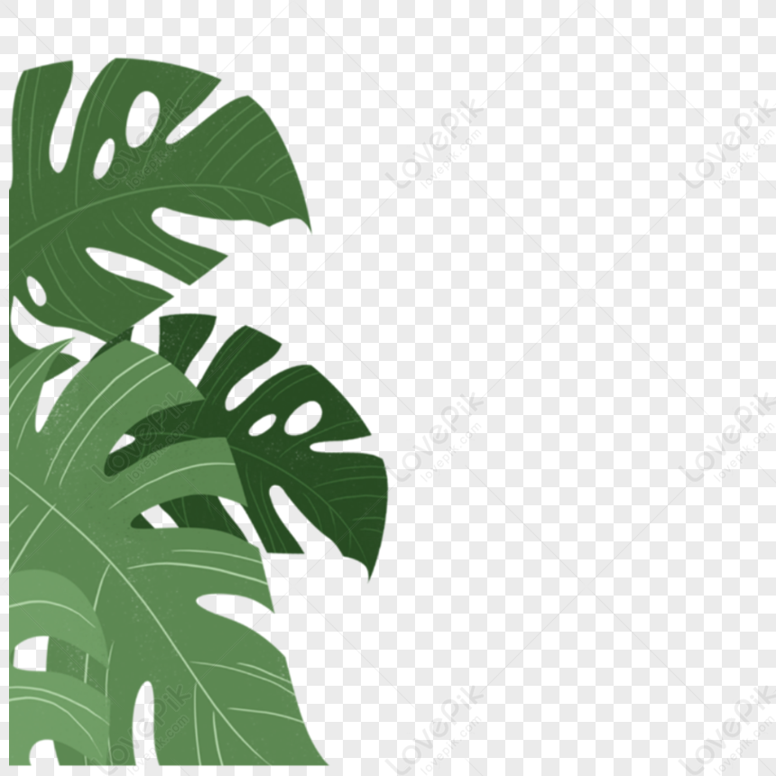 Best Indoor Green Plant Leaf, Spring, Best, Indoor PNG Free Download ...