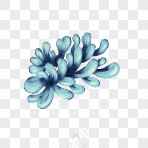 Ocean Plants PNG Images With Transparent Background | Free Download On ...