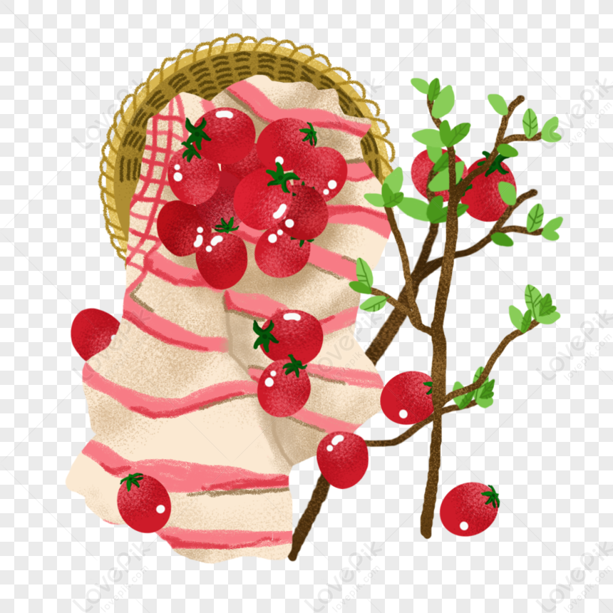 Holy Fruit PNG Transparent And Clipart Image For Free Download ...