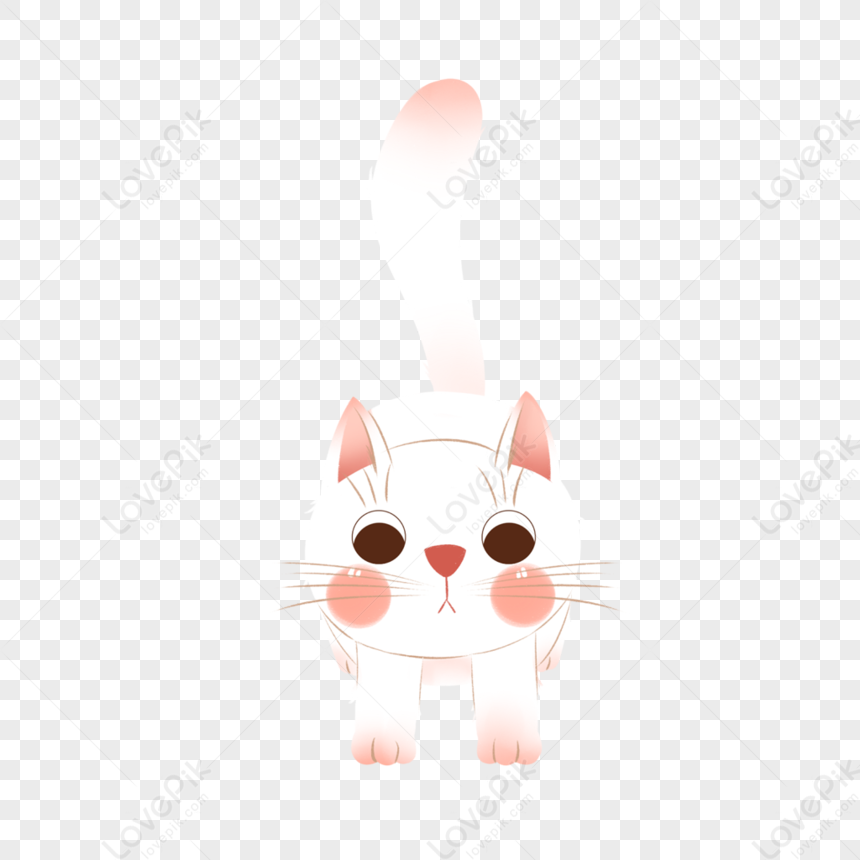 Kitten Free PNG And Clipart Image For Free Download - Lovepik | 401424859