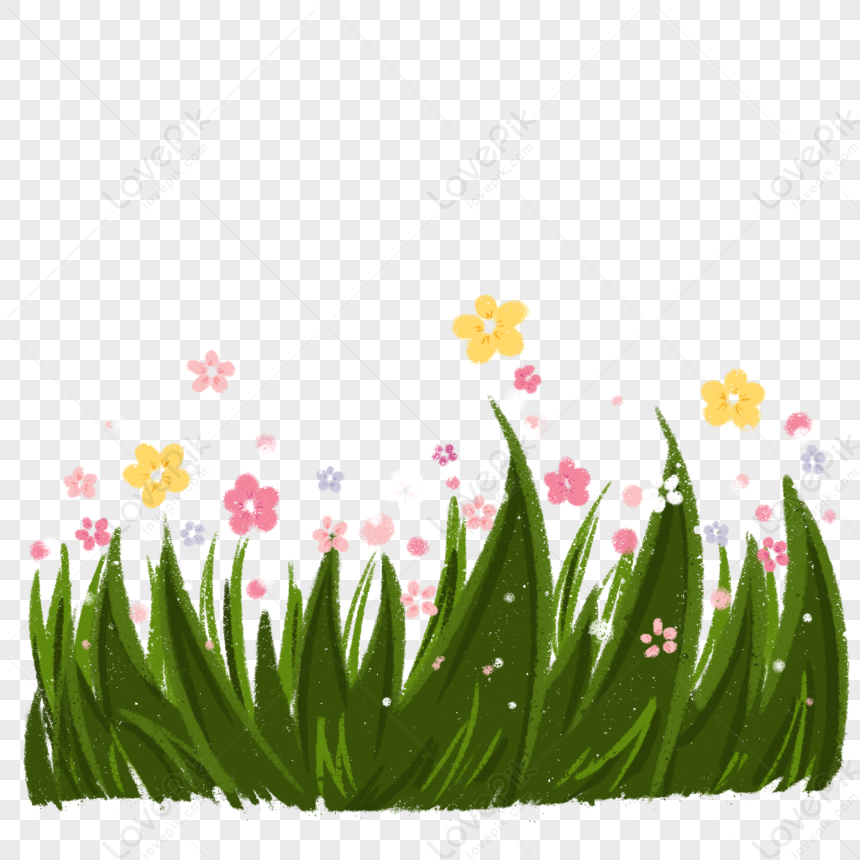 Lovely Flower Fragrance Png Image, Flower Grass, Flower White, Flower ...