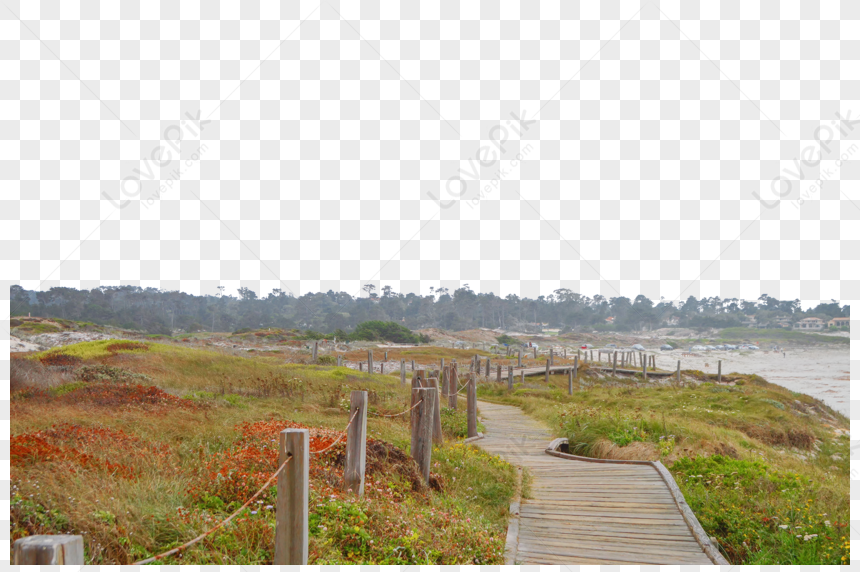 Monterey Waterfront, Usa, Beach Clipart, Beach Grass, Grass Transparent ...